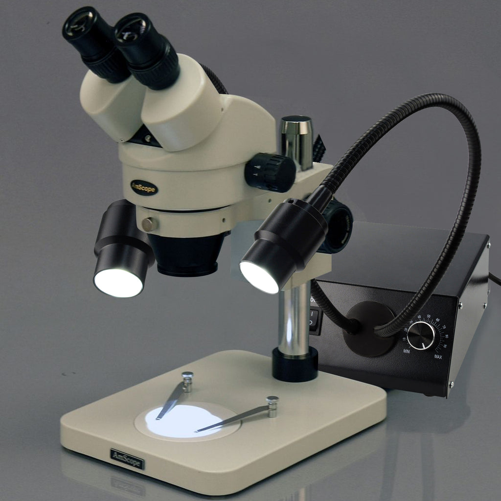 Light Source Microscope