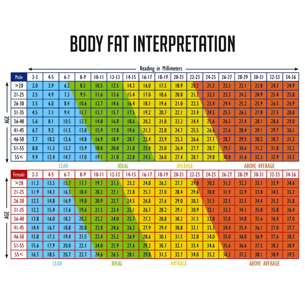 Body Fat Caliper BMI Skinfold Tester w/Instruction Chart
